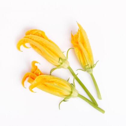 Fleurs de courgette - 100 gr