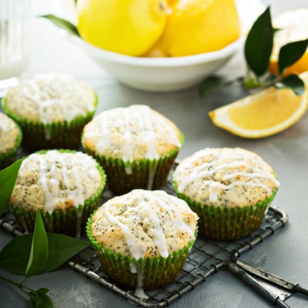 Muffin citron