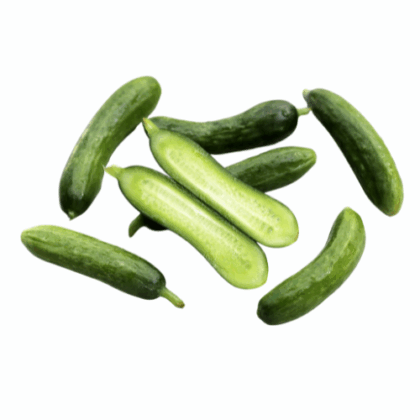 Mini- concombre (1/2 kg)