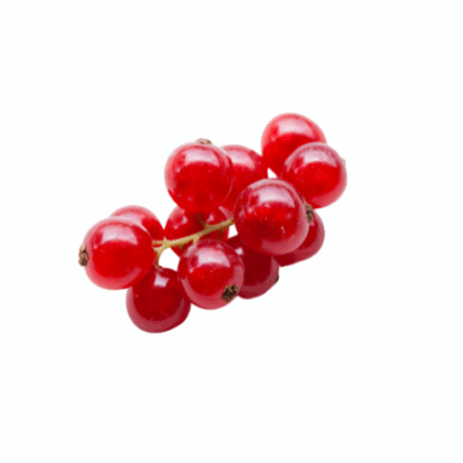 Groseilles(100 gr)